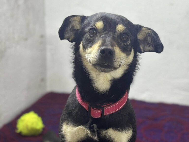 6b641c96-2deb-4b7d-9d6b-5473c3e43c45