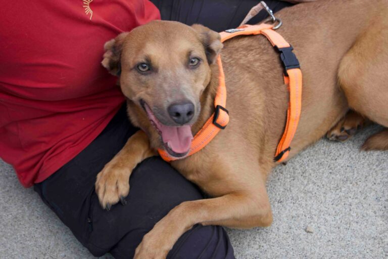752583719_28537687682484857_8533337229520305766_n