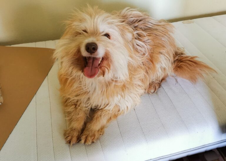 8b8b587e-6787-4b13-8561-39b29288a4c4