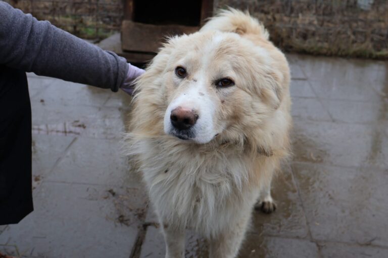 FB_IMG_1770371555288