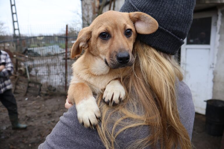 FB_IMG_1770725647430