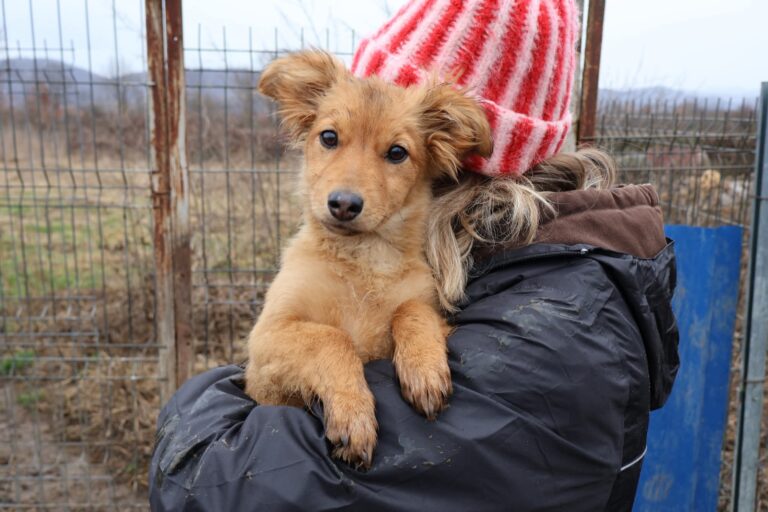 FB_IMG_1770727415426