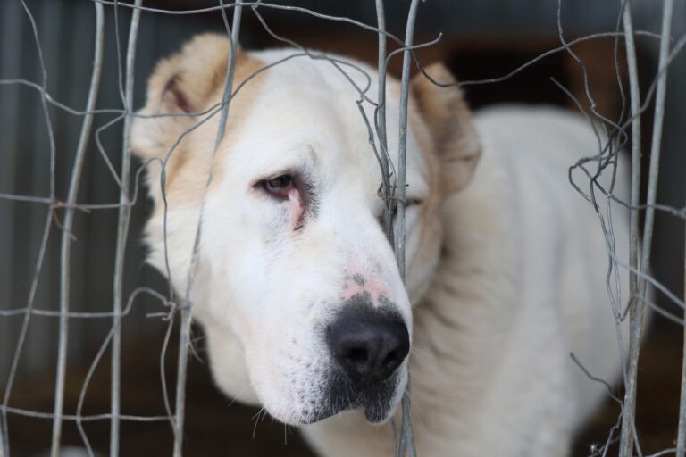 FB_IMG_1770994674082