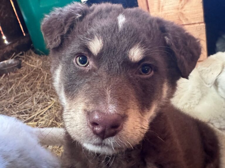 FB_IMG_1773782522604