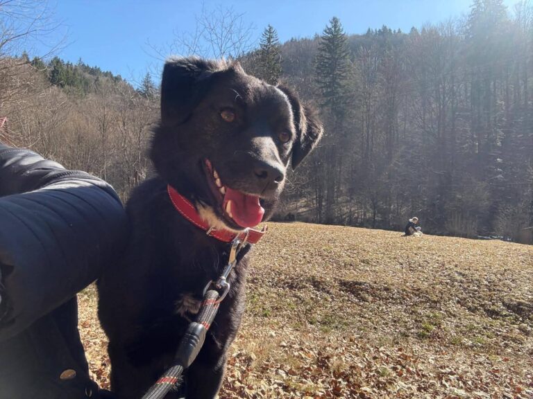 FB_IMG_1773822387974