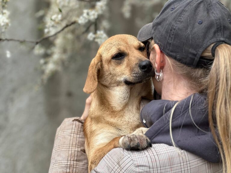 FB_IMG_1775287364375