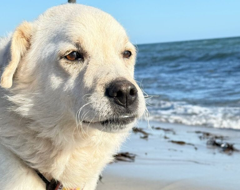 IMG-20260407-WA0003(1)