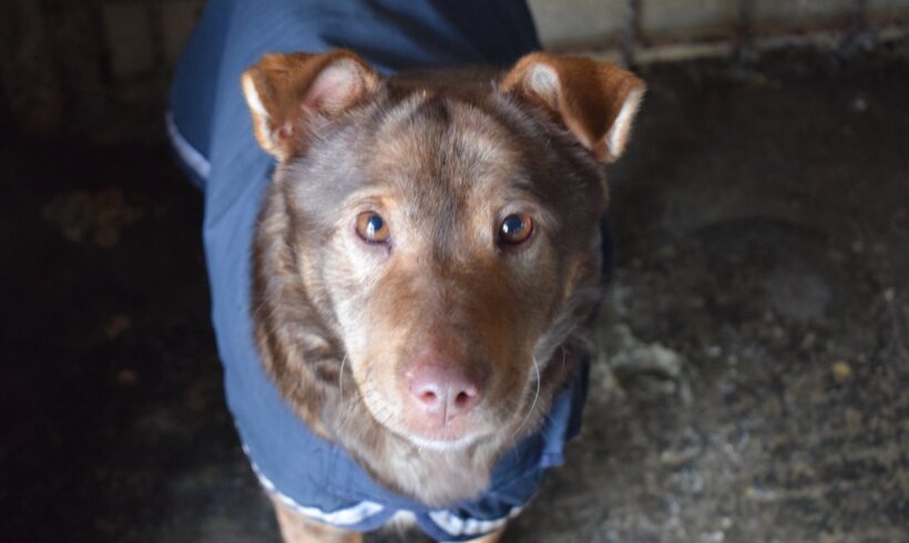 MARLA – reserviert