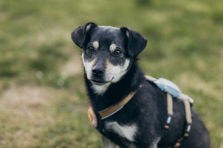 STEFFISTUBERPHOTOGRAPHY-Whisky-7