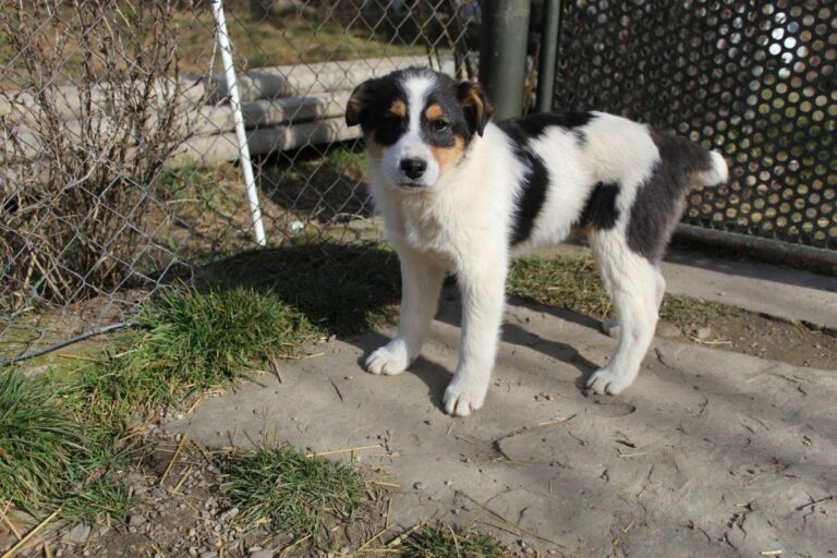 WhatsApp Image 2026-02-15 at 20.30