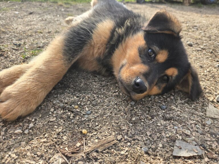 WhatsApp Image 2026-02-16 at 09.52