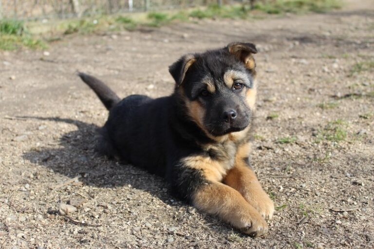 WhatsApp Image 2026-02-16 at 09.56