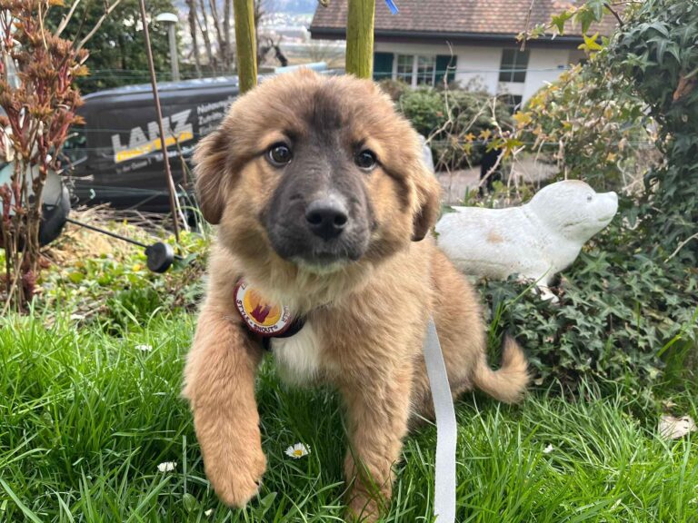 WhatsApp Image 2026-03-11 at 08.44