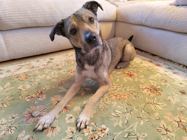 Zuletzt gesichert - 2 von 5 (1)