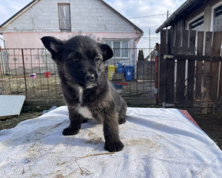 bcb52c02-69b4-4fd5-8356-4eb0e4b6c084