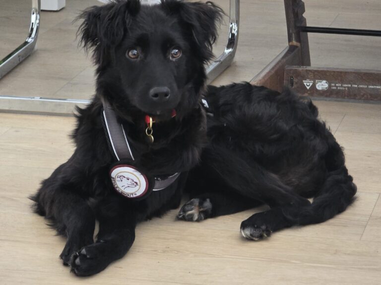 inbound3730705621278353200