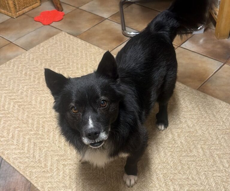 inbound6427325398987002528