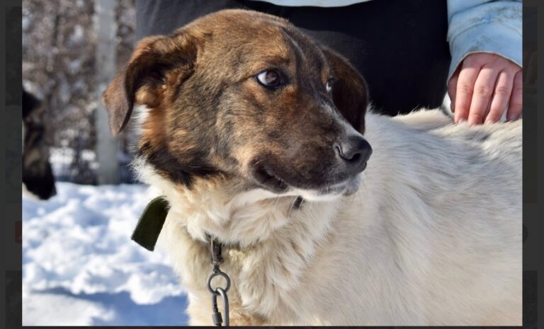 inbound940282926689818628