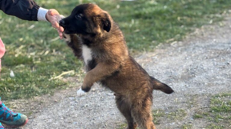 0ee6f8bd-b991-4cfa-b45e-c59fc7a92122