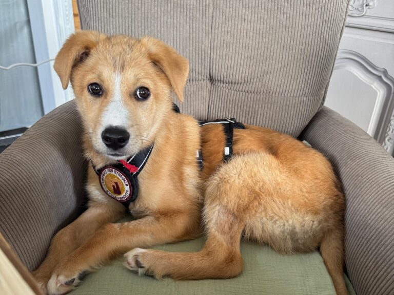 12c9a5ea-9220-47f2-bf14-7468af3bbe5b