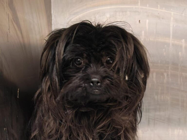 12fbc4dc-8ba8-455d-a88f-2bcd808b3499