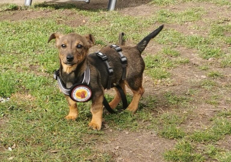 14d89474-fcd5-456a-b177-44eb7b875213