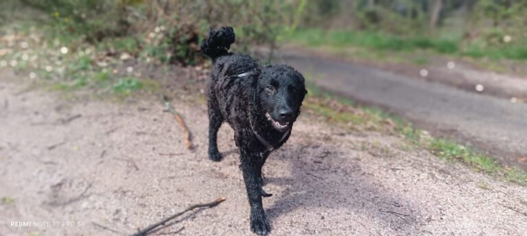 2346adf8-01e8-4b87-bdf2-60ec3c87c4f0