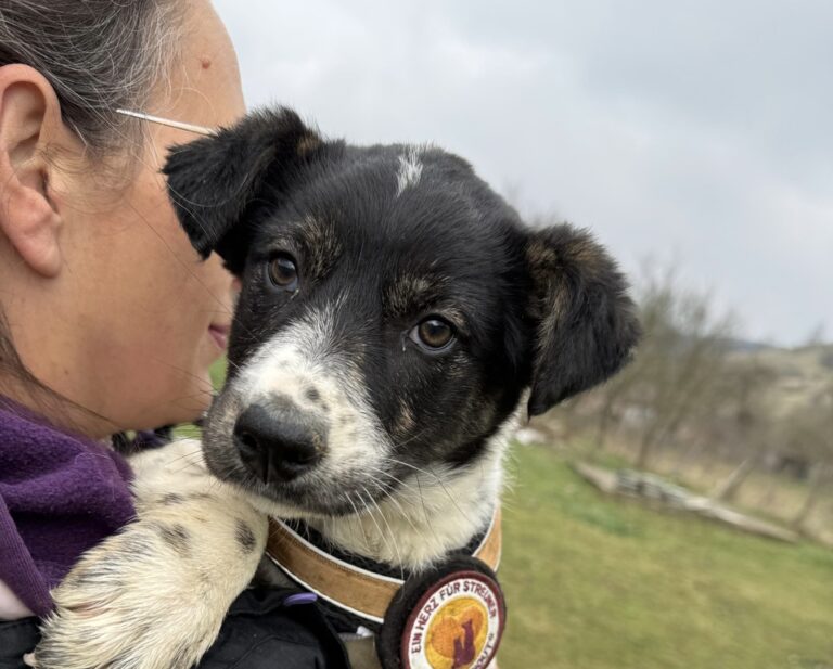 2d50f95d-f3b3-4642-a1c8-169852c5cb16