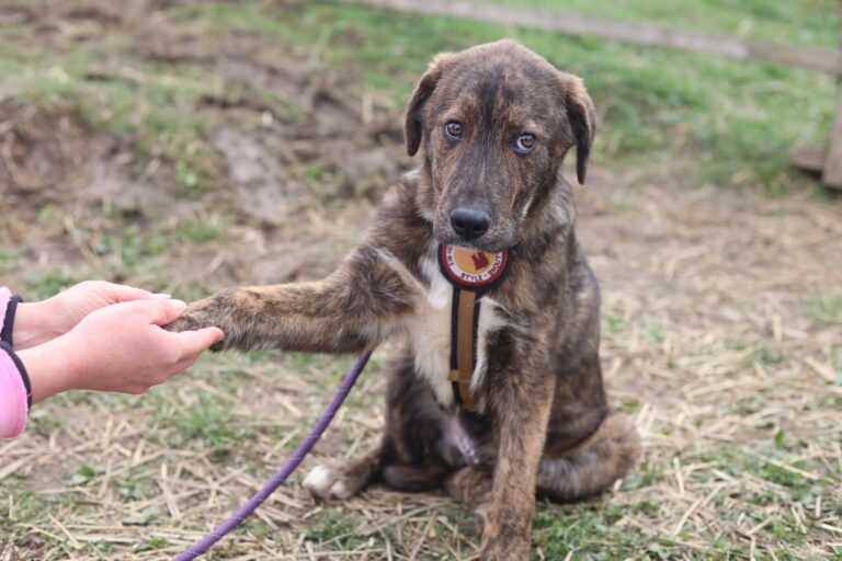 3b9f4518-d756-426b-92d6-ff4ae6b6a71f