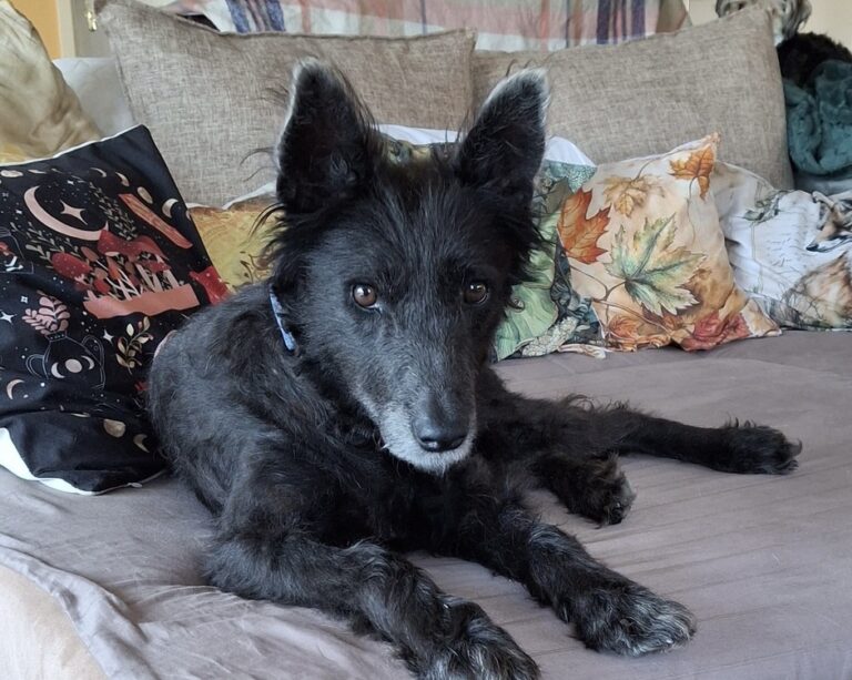 4326b6e4-40d5-4a92-a625-3e4be5d42f5c