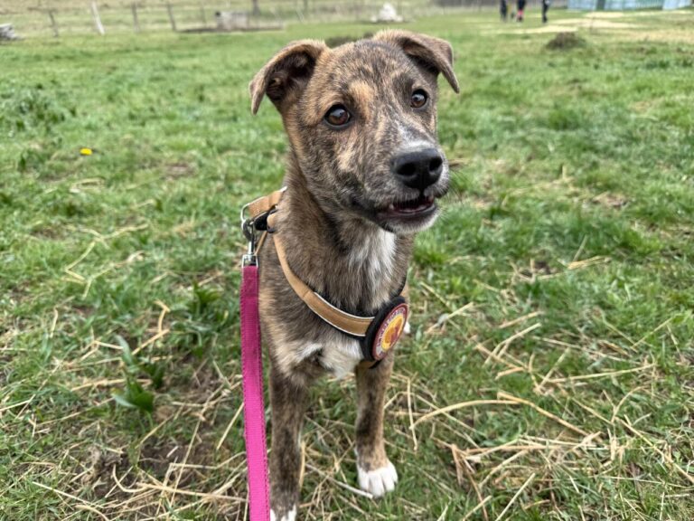 444bb872-56fc-4229-8b66-158b250e9b21