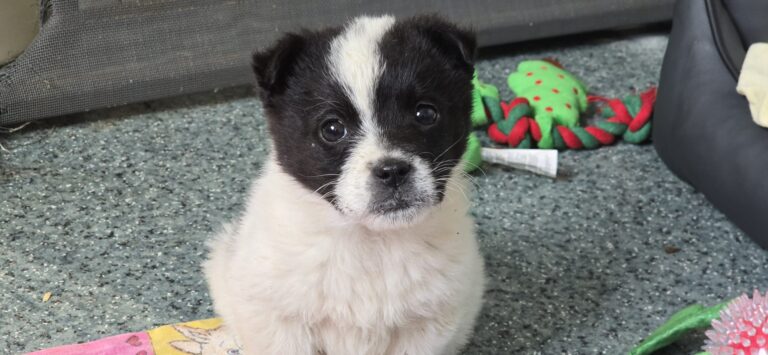 4a3caefb-e3dd-40e7-8168-289964a36e0e