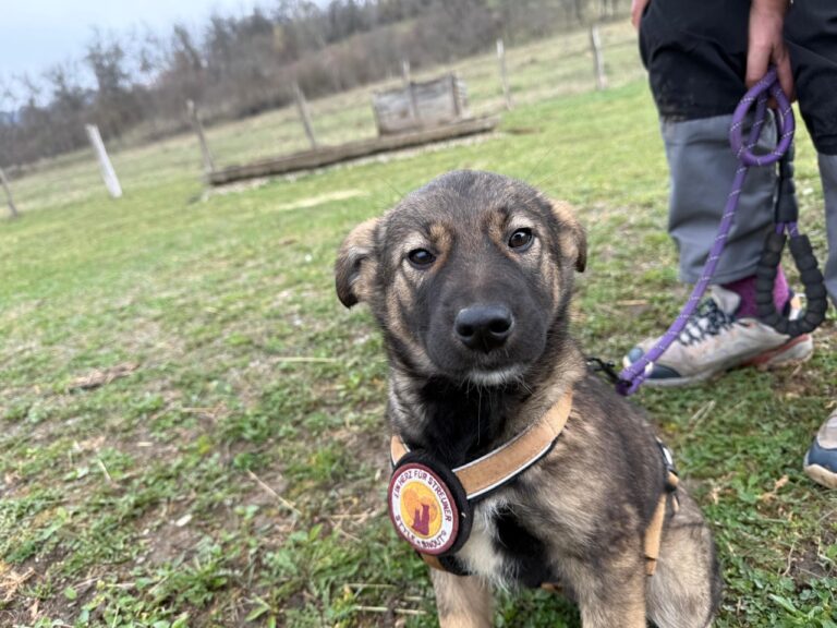 5193813e-2080-4513-92ee-88acc259af96