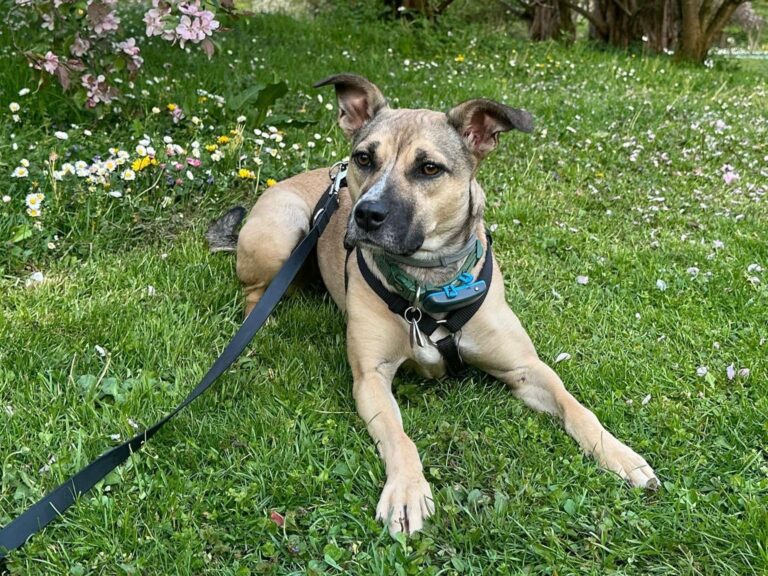 53906a60-8db8-4eb5-8ae6-1cf5f9d3e925