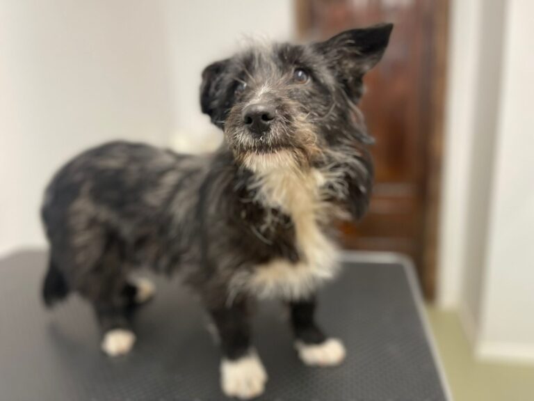 54547b56-51a3-4f3e-b08b-05e129d666b3