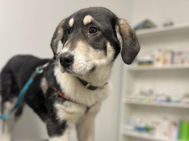 618055032_10161556025567581_6449631614369819048_n