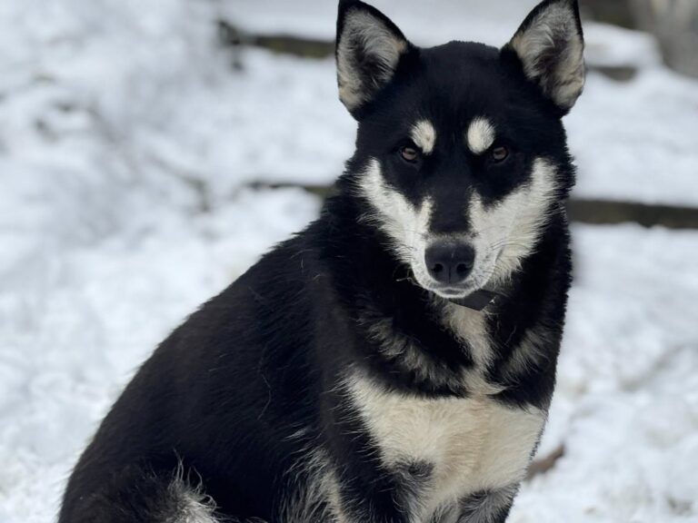 622389158_122227806044122691_4726216569597114971_n