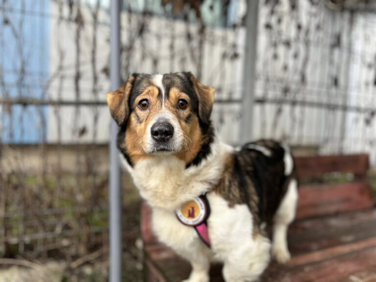 626823786_10241365577820316_1327358570066675648_n