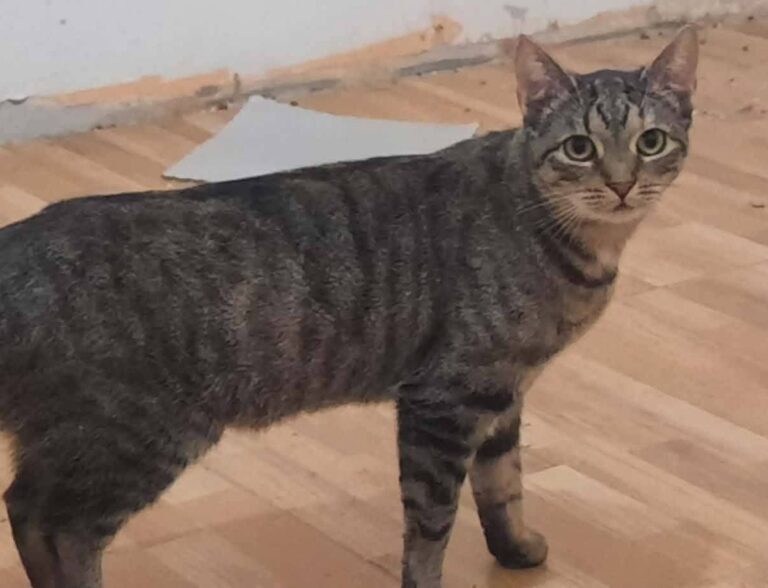 627742514_25730931876559202_9200548591840251788_n