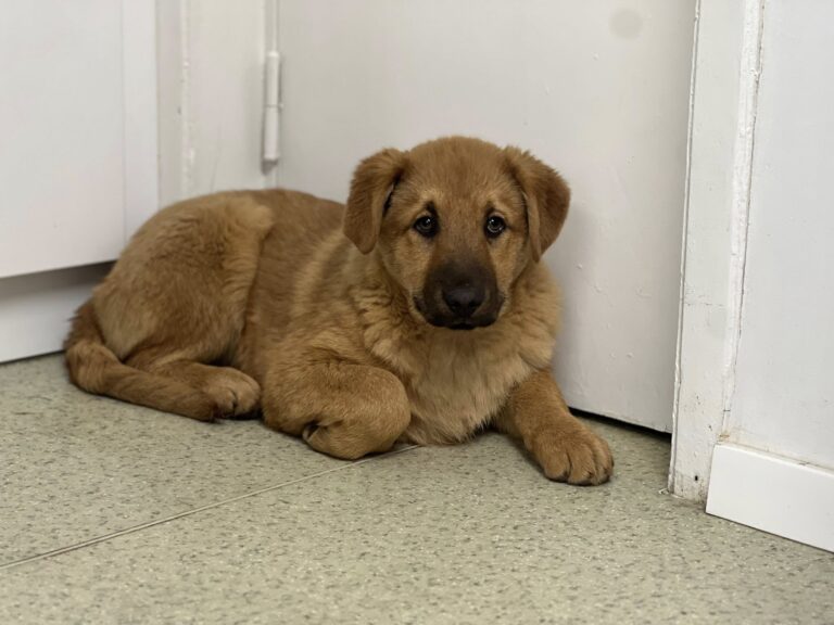 628165966_10161611563732581_3325008964592299733_n