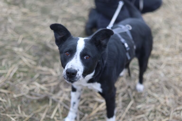 628952250_25932738446418565_1108223863698970648_n