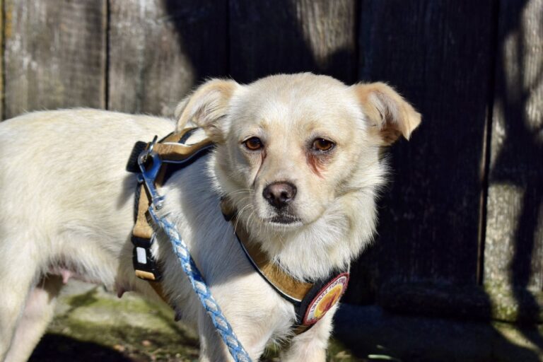 629319953_4195940850655718_3925347684302849817_n