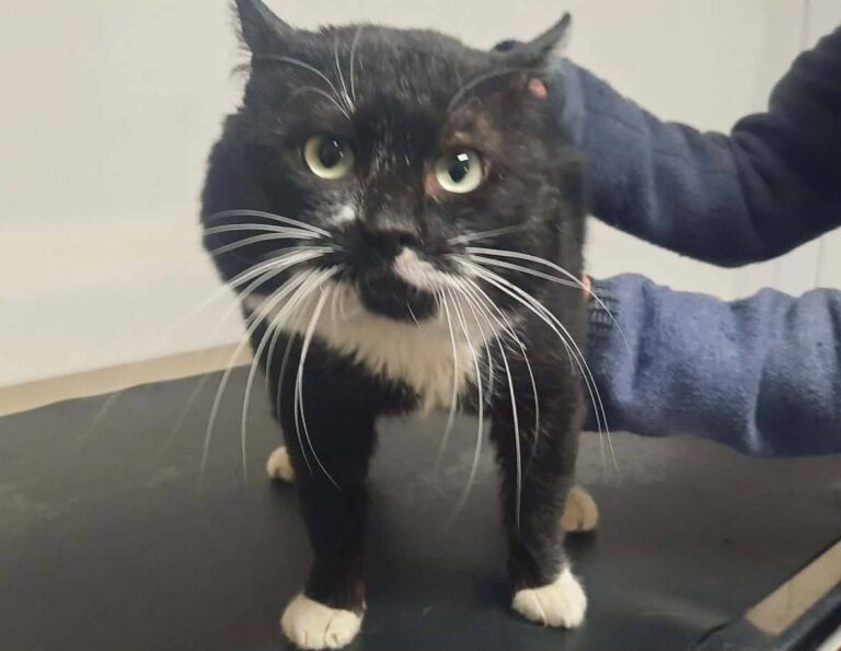 629784428_25769823966003326_2999345983661919458_n