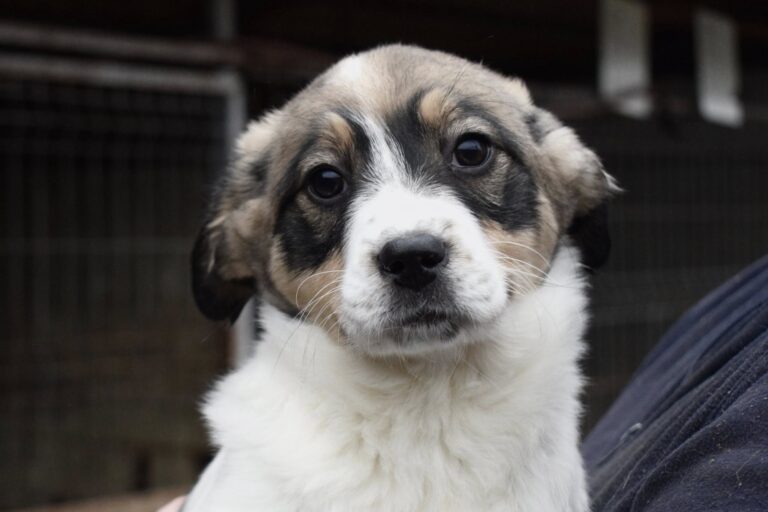 633201254_4200677256848744_5021577958617855451_n