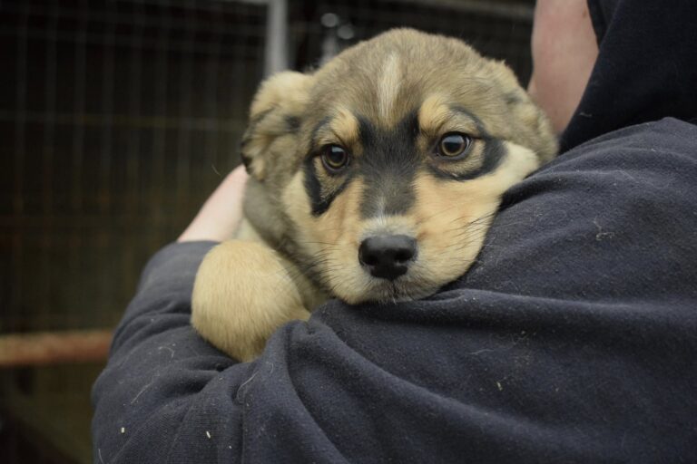 634245201_4200681276848342_2502913917588112155_n