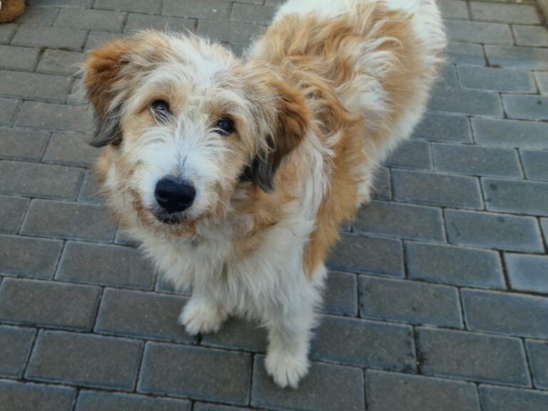 637120210_122230070798122691_794115380282885932_n