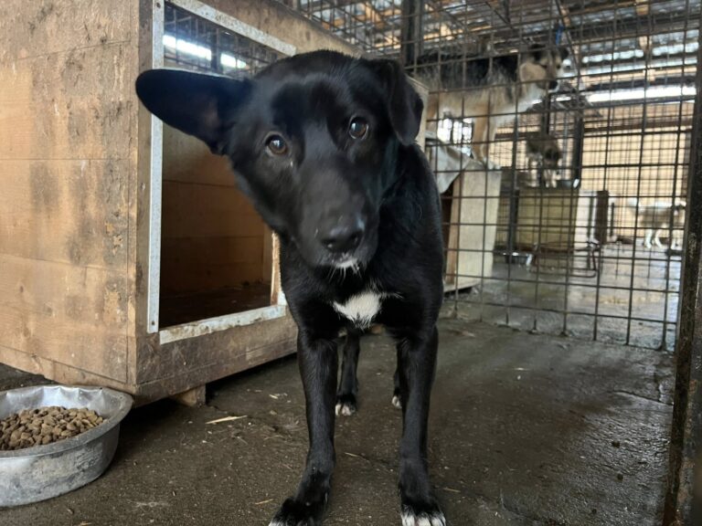 637567719_4207422226174247_9079742261250083747_n