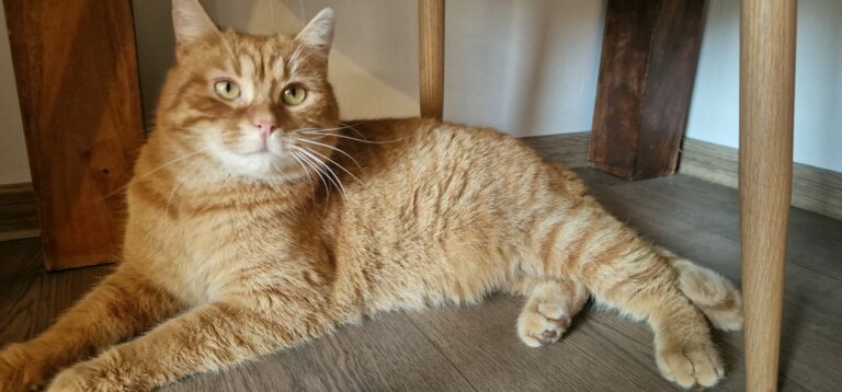 637885971_122230072742122691_4485732289710074491_n