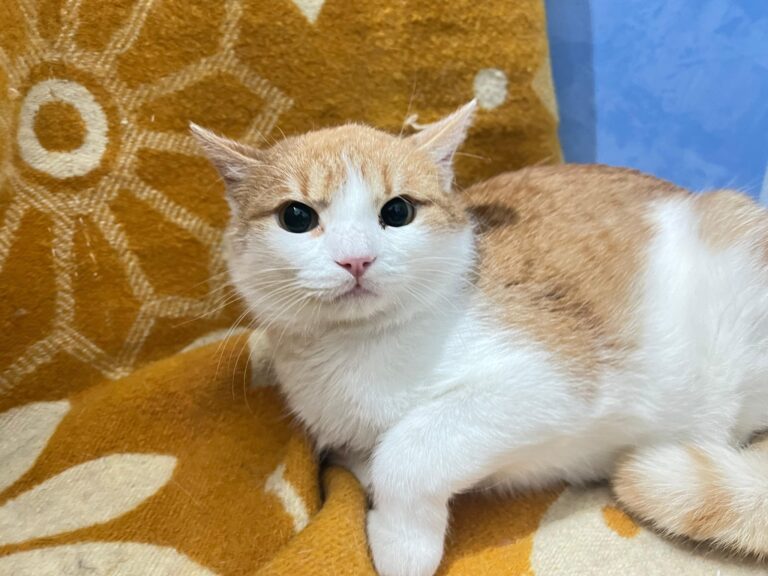 637937787_26157226613909815_9147568219308016121_n