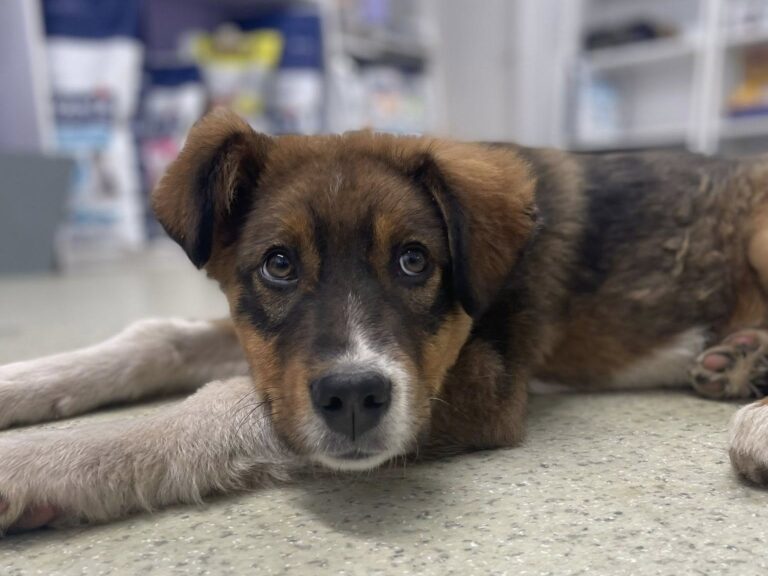 638129575_4208389806077489_5412057665874150327_n